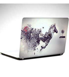 Zebra Laptop Sticker 10 İnch (25X19CM)