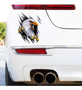 Kartal Sticker Yapıştırması Araba Motorsiklet 19 CM