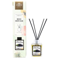Böğürtlen Kokusu 100 Ml Çubuklu Oda Kokusu