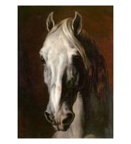 Beyaz Atın Başı - Theodore Gericault Tablo Ahşap Poster Dekoratif