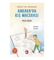 Gizemli Yol Arkadaşım - Ankara’da Kış Macerası