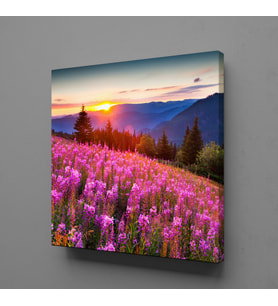 PEMBE ÇİÇEKLER TEMALI KANVAS TABLO 200x200cm