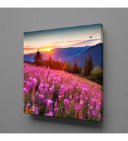 PEMBE ÇİÇEKLER TEMALI KANVAS TABLO 200x200cm