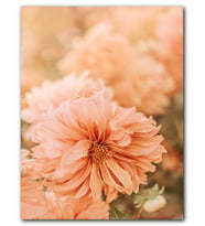 Cakatablo MDF (Ahşap) Tablo Soluk Pembe Renkli Çiçekler Yakın Çekim