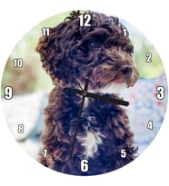 Cakatablo Siyah Beyaz Kıvırcık Tüylü Terrier Duvar Saati