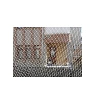 Kedi Koruma Filesi Balkon Filesi Balkon Ağı 1 Milim 2 50 X 5 Metre (Beyaz)