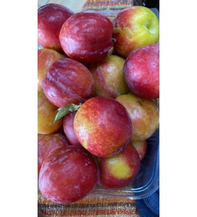 Hatay Kırmızı Can Erik (2 Kg)