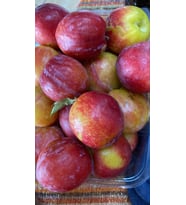 Hatay Kırmızı Can Erik (2 Kg)