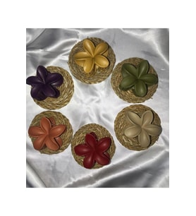 Kadın Büyük Boy 6'Lı (8cm) Renkli Lotus Toka Seti (Pastel Yeşil)