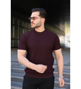 Erkek Bisiklet Yaka Petek Dokulu Kısa Kollu Triko Tişört