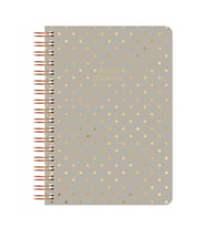 Noktalı Bullet Journal Pro Defter Shine Kum 17x24