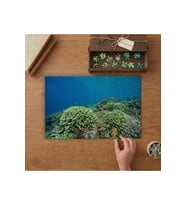 Su Altında Renkli Bitkiler Tasarımı 240 parça Ahşap Puzzle Ahşap Kutuda MP02435