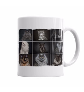 Cats Collection one Kupa Bardak Porselen