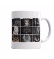 Cats Collection one Kupa Bardak Porselen