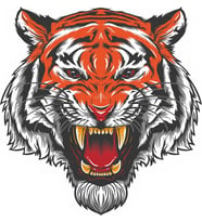 Sticker Usta Kaplan Sticker 00246 Renkli 12 x 12 cm