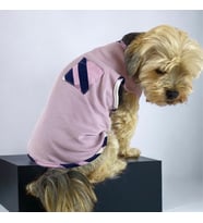 Light Purple BB Atlet Köpek Kıyafeti  Köpek Elbisesi (Çok Renkli)