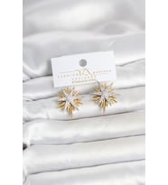 Tegan Zirkon Taşlı Pirinç Kutup Yıldızı Gold ve Gümüş Renk Kadın Küpe TG27BKP11782