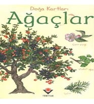 Doğa Kartları - Ağaçlar