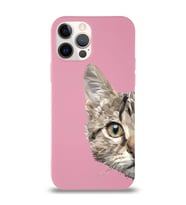 Apple iPhone 12 Pro Max Uyumlu Lansman Kılıf Catface Tasarımlı Altı Kapalı İçi Kadife Kaplı  Kapak (Şeffaf)