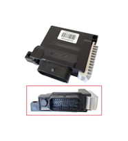 Mondial Ritmica 100 Ecu Beyin (2021-....) Orj