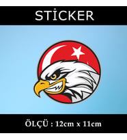 yırtıcı kuş hayvan etiket sticker - 2 adet çıkartma araba motosiklet kask atv tablet pc buzdolabı otomobil bilgisayar uyumlu