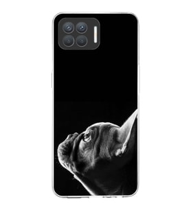 PrintiFy Oppo Reno 4 Lite ile Uyumlu Köpek 1 Kamera Korumalı Şeffaf Kılıf