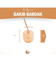 BAKIR KOKTEYL BARDAĞI ELMA FORM VE PİPET PARLAK BAKIR RENK