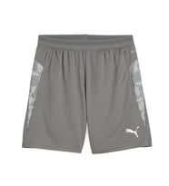 Puma Teamcup Training Shorts Erkek Futbol Kamp Şortu 65917113 Gri