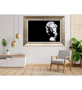Gümüş Çerçeveli dekoratif Tablo as1257