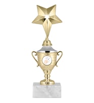ODAK KUPA - Genel Kupalar - GG-004 C - 24 cm