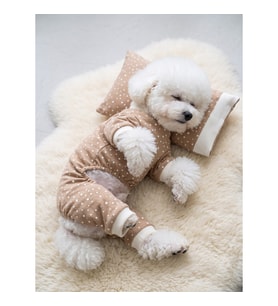 Latte Sprinkles Köpek Uyku Takımı Pamuklu Penye Köpek Tulumu ve Mini Yastık Küçük Irklar İçin Tüy Dökülmesini Azaltır