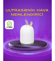 Renkli Led Işıklı Sürekli Spreyli Masa Nemlendirici - Lisinya