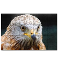 Cakapuzzle Şahin Keskin Gözler Yakın Çekim Puzzle Yapboz MDF (Ahşap) (120 Parça)
