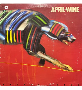 April Wine Animal Grace LP Plak (Karışık)