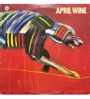 April Wine Animal Grace LP Plak (Karışık)