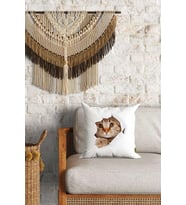 Sevimli Kedi Desenli Çift Yön Dijital Baskılı Dekoratif Kırlent Kılıfı Yastık Kılıfı 39x39cm