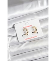 14K Gold Renk Kaplama CM Kadın Küpe - TJ-BKP11401