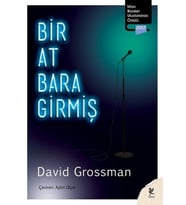 Bir At Bara Girmiş