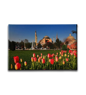 Ayasofya Cami Tablo CTKY165