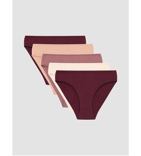 LCW DREAM Bordo Bikini Külot 5'li