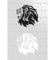 ASLAN STİCKER YAPIŞTIRMA  50 CM