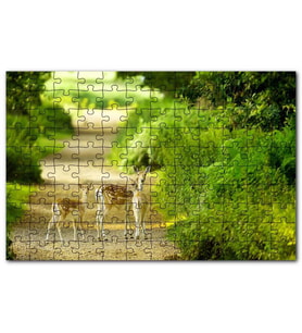Cakapuzzle Orman Patikasında Anne Ceylan ve Yavruları Puzzle Yapboz MDF (Ahşap) (120 Parça)