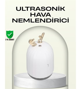 Abs+Pp Malzemeli Taşınabilir 220 Ml Usb Mist Nemlendirici - Lisinya