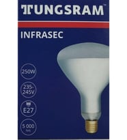 (250 W Infrared Ampul Isıtıcılı Lamba Kırmızı Inf250k