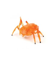 Hexbug Mikro Robot Bok Böceği 477-2248