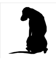 KÖPEK FOLYO STİCKER 70cm Uzunluk (Karışık)