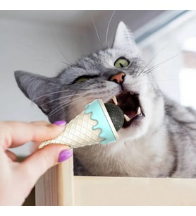 DONDURMA ŞEKLİNDE KEDİ NANESİ KEDİ OTU (Standart)