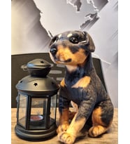 SEVİMLİ DOBERMAN KÖPEĞİ 35cM
