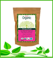 RADICO Bhringraj Tozu 100 gr