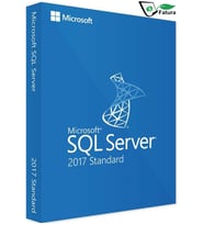 Microsoft Windows SQL Server 2017 Standard ESD Lisans
